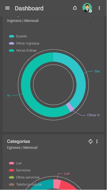 Mobile finance category analysis with income and expense charts